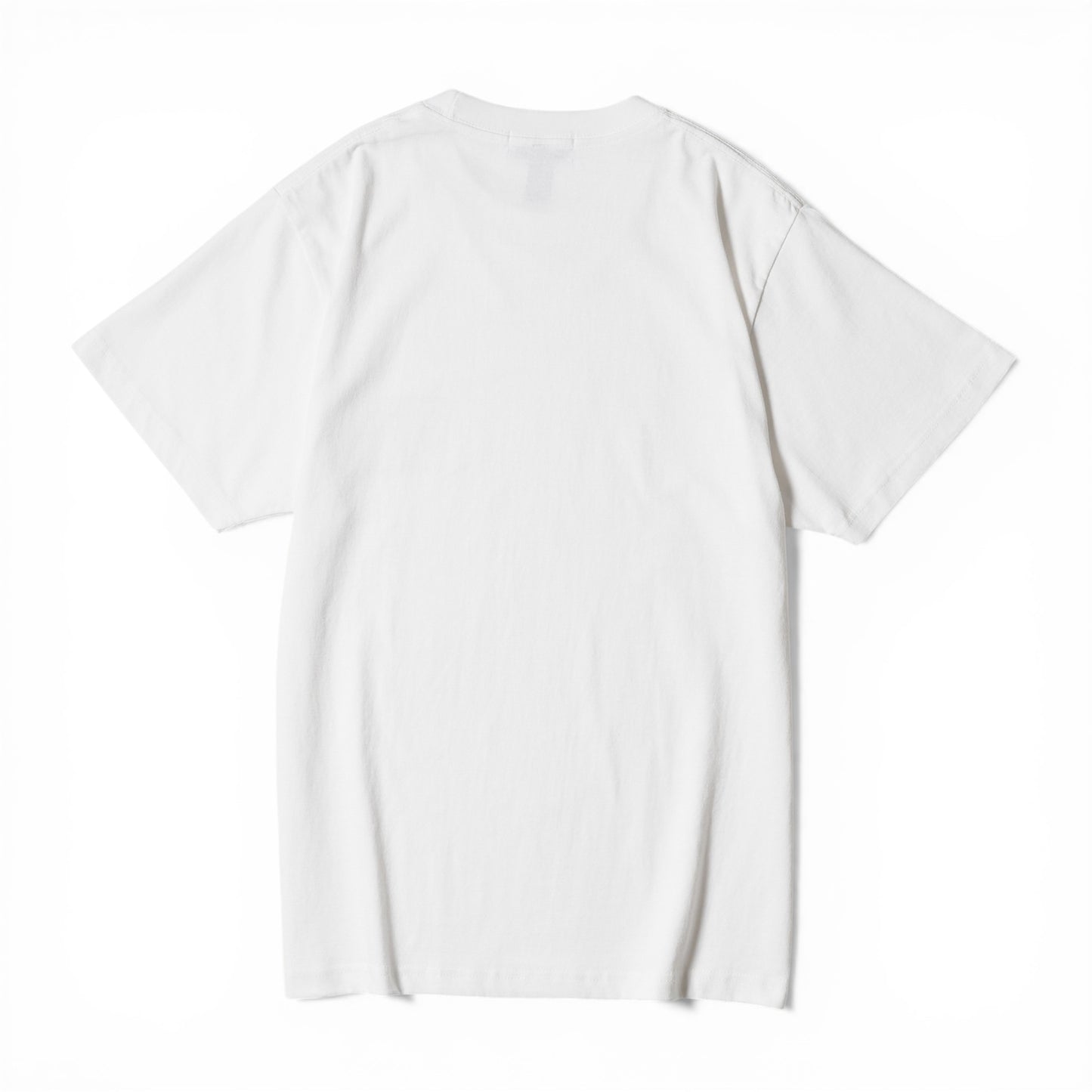 〖名乗るほどの者では〗T-shirts-wh