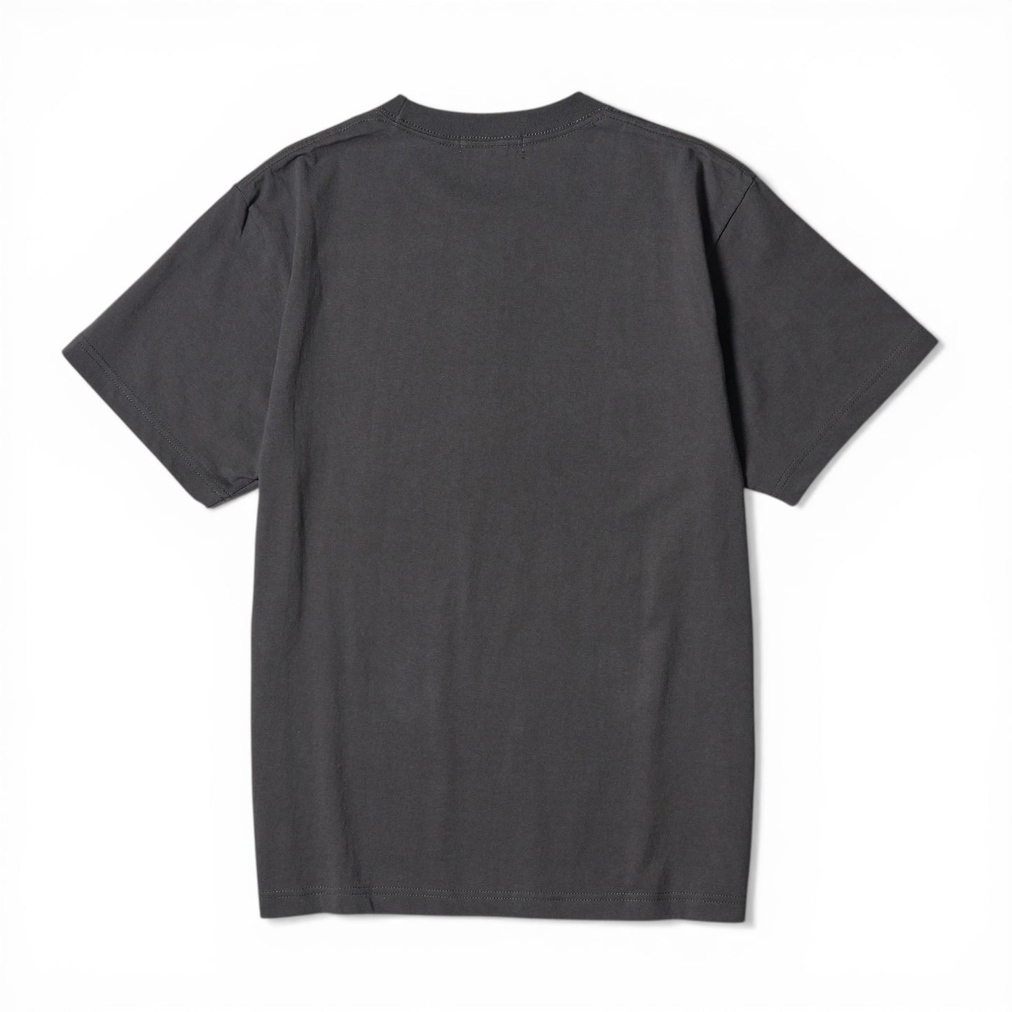 〖名乗るほどの者では〗T-shirts-bk
