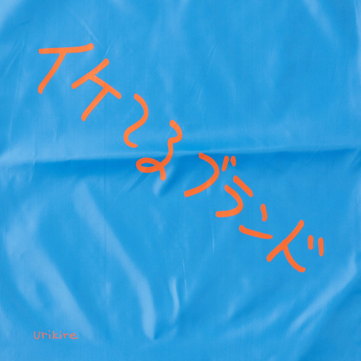 〖イケてるブランド〗Nylon Knapsack - Sax