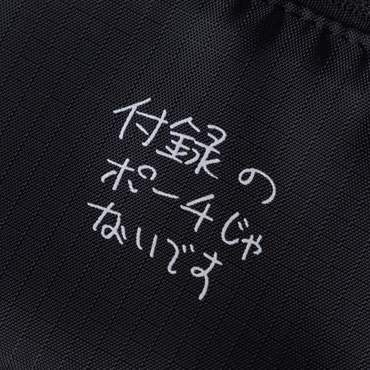 〖付録のポーチじゃないです〗Flat pouch - Black